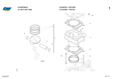 Stempel + Cylinder 